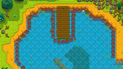 crab pots stardew|Best Places for Crab Pot Farming in Stardew Valley .